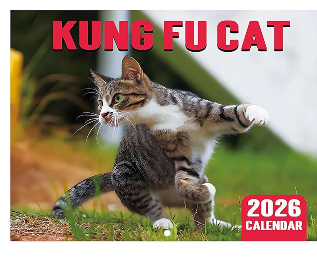 2026 Funny Cat Wall Calendar – 12 Monthly Cute Illustrations, A4 Size Home Office Decoration & Pet Lover Gift
