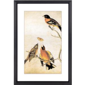 6x8 Picture Frame, Black Aluminum Metal Photo Frames with HD Glass, Fits 5x7 with Mat or 6 x 8 without Mat, Display for Wall and Table