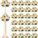 Hotop 24 Pcs Flower Balls Wedding Rose Centerpieces Silk Flower Kissing Balls Arrangement Artificial Hydrangea Flower Bouquet Faux Rose Floral Decoration (Champagne,White)