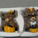 2 Pcs Fall Highland Cow Figurines Resin, Autumn Tabletop Decor
Cute Seasonal Home Decorations for Mantel Shelf Desk, Thanksgiving Harvest Theme Ornaments, Office Decorative Accents