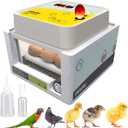 Incubators for Hatching Eggs - 12 Eggs - Ideal All Ages | Egg Incubator with Automatic Egg Turning and Humidity Control - Integrated Egg Candler - Okkobi OBI-12 (Yellow)