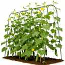 Cucumber Trellis for Climbing Plants Outdoors, U-Shape Garden Trellis for Raised Bed with Netting, Plant Support Structures for Vegetables, Grape, Bean, Tomato, Vines, 48 * 46 inch, Green