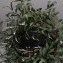 for Front Door 19 inch, Greenery All Season Wreath, Home Decoration for Outdoor Living Room Indoor Wall and Outside Summer All Season Wedding(2PC)