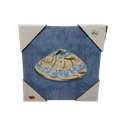 12X12 Blue Sea Shells CVS