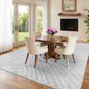 ROYHOME 8x10 Area Rug for Living Room Washable Rug Non Slip Large Bedroom Rug Stain Resistant Dining Room Throw Contemporary Accent Carpet Ultra Soft Modern for Home Decor Office, Grey