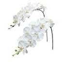 Fnize Orchid Stems Artificial Flowers Real Touch Latex Faux Phalaenopsis Branches 9 Large Blooms 38 Inches 2pcs White