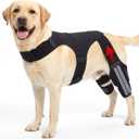 Dog Knee Brace for Back Leg Hind Leg ACL Dog Brace Support Adjustable Double Dog Leg Brace with Stabilizers, Helps with Torn CCL, Luxating Patella, Ligament Injuries,L