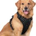 Rabbitgoo Dog Harness No Pull with 2 Leash Clips, Adjustable Soft Padded, Reflective Oxford No Choke Pet Vest with Easy Control Handle for Large Dogs, Black, XL