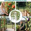 Metal Garden Arch Trellis, 7.3Ft Black for Raised Beds, Plant Support for Cucumbers & Climbing Vegetables
