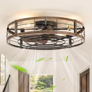 LEDIARY 26 inch Fandelier Caged Ceiling Fan with Light, Bladeless Ceiling Fan with Remote, Farmhouse Fan Lights Ceiling Fixtures for Kitchen, Bedroom, Outdoor(6 Speed, Timing)-Black and Gold