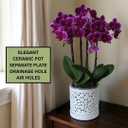 Large Ceramic Orchid Pot with Holes, 6 Inches Wide, for Indoors or Outdoors with Woven String Cut Out Design, Orchid Planters, Orchid Gifts (String Cut Out Design)