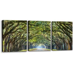 Pacimo Tree Landscape Wall Art Set of 3 - Framed Canvas Painting Prints with Forest Path Archway Design - Modern Artwork Home Decor Wall Decor for Living Room Bedroom Office - 12"x16"x3 Panels