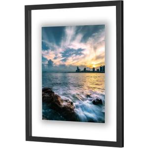 ONE WALL 16x20 Inch Floating Frame, Black Wood Double Glass Float Picture Frame Display 16x20/11x14 Inch Photos or Plant or Petal Specimens for Wall Hanging - Mounting Accessories Included