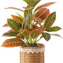 Nubry Fake Plants Artificial Potted Plants with Weaved Pot for Shelf & Table Desk | Perfect for Home Office Bathroom Farmhouse Room Coffee Table Decor 10