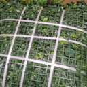 20''x20'' (12 Pieces) Artificial Hedge Vine Panels Greenery Backdrop
