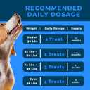 Probiotics for Dogs | Soft Chews with Digestive Enzymes, Pumpkin & Prebiotics | Supports Gut Health, Immunity, Stool Quality & Nutrient Absorption | Peanut Flavor, 90 Count