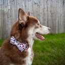 Elegant little tail Dog Collar with Bow - Fall Dog Collar Halloween Candy Bow Girl Boy Pet Collar Soft Dog Bowtie Collars for Medium Dogs (Medium (Pack of 1))