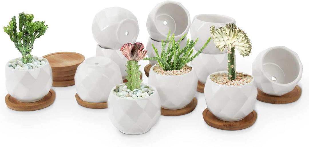 ZOUTOG Succulent Plant Pot 12 Pack, 2.5 inch Square Pattern Ceramic Planters with Bamboo Tray, Small Succulent Pots Indoor, White Office Desk Decor (Seeds Plants Not Included)