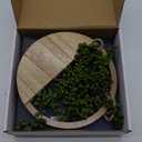 Floweroyal 2pcs Artificial Succulents Hanging Plants 12.2'' Fake String of Pearls in Pot with 8.3'' Lanyard for Indoor Outdoor Wall DecorWood Color.