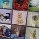 2026 Lovable Cats Wall Calendar