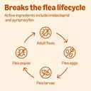 Amazon Basics Topical Flea Treatment for Medium Cats (5-9 Pounds), 6 Count, Packaging May Vary