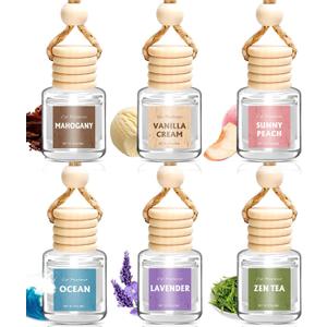 AROIC Car Air Freshener for Women, 6 Pack Air Freshener Diffuser, Mothers Day Gift for Mom, Hanging Essential Oil Air Freshener Diffuser Odor Eliminator, Cute Car Interior Decor Car Scents Accessories