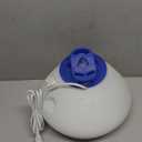 Vicks Warm Steam Vaporizer & Humidifier 1.5 Gallon Tank for Small and Medium Rooms, Night Light, Works with VapoPads and VapoSteam