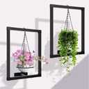 2 Pack Picture Frame Wall Plant Holder Wall Planters for Indoor Plants Metal Window Hanging Shelves Black Pot Holder Ring for Living Room Bedroom Bathroom Home Decor