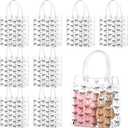 Sweetude 24 Pcs Coquette Black Bow Party Gift Bags PVC Clear Gift Bags with Handle Coquette Birthday Bow Party Favor Small Goodie Candy Treat Bag Bulk Reusable Wrap Bag for Cheer Bridesmaid Proposal