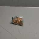 BABEYOND 1920s Flapper Headpiece Roaring 20s Headband Great Gatsby Headband Chain for Women Vintage Hair Accessory (Champagne)