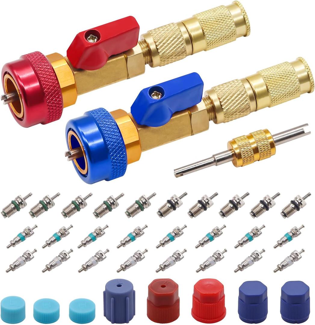 TWTADE R134A Valve Core Quick Remover Installer Tool Kit - High Low Pressure Car A/C Valve Core Removal Tool, Schrader Valve Stem Cores & Seal Caps for R12 R134a Refrigeration Air Conditioner System