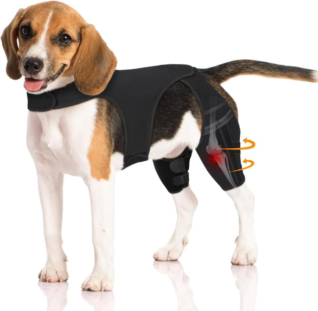 Dog Knee Brace for Torn ACL Hind Leg Adjustable Dog Leg Braces for Both Back Legs with 4 Stabilizers, Strong Support for Torn CCL, Luxating Patella, Ligament Injuries, Hip Dysplasia, Medium