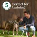 Nutro Crunchy Dog Treats with Real Apple, 16 oz. Bag (EXP 08/25/25)