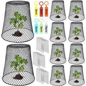 10 Pcs 9.13"9.13" Chicken Wire Cloche Plant Covers Garden Netting Metal Heavy Duty Plant Protectors from Animals for Keeping Bunnies Chicken Squirrels Birds Other Out