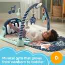 Fisher-Price Kick & Play Piano Gym, Navy Fawn