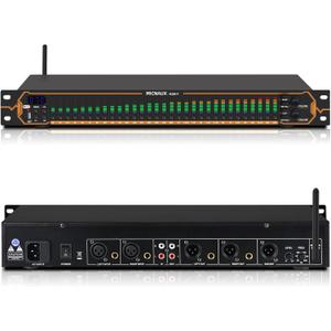 Equalizer for Home Stereo Audio System, Professional 31-Band Graphic Equalizer Rack Mount Music Digital EQ Studio Equalization with Spectrum Analyzer Display & Noise Reduction