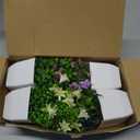 Der Rose 4 Pack Small Fake Plants Mini Artificial Faux Plants Indoor with Flowers Spring Decorations for Home Room Farmhouse Desk House Bathroom Decor