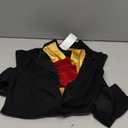 California Costumes Kids' Famous Composer/Beethoven, S