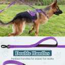 Service Dog in Training Vest Leash Set, Reflective Do Not Pet Dog Harness with Handle and 6 Patches, Full Metal Buckles, for Large Dogs Training Walking, X