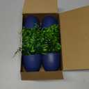 Der Rose 4 Pack Fake Plants Small Artificial Plants in Blue Pots Faux Plants Indoor for Home Kitchen Table Blue Bathroom Decor Accessories