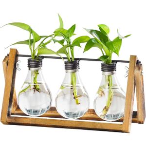Marbrasse Plant Propagation Stations with Wooden Stand, Desktop Plant Terrarium Holder Bulb Vase, Glass Vase Container with Metal Swivel Holder for Hydroponics of Home Garden Office Decor Lover Gifts