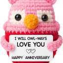 Pink Owl Crochet for Wife, Handmade Romantic Keepsake from Husband, Cute Mini Collectible to Celebrate Marriage Love, Unique Valentines Day or Birthday Present for Her