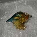 DOVDOV Hand-Blown Glass Conch Sculpture, Coastal Home Decor Conch Horn, Glass Art Seashell Ornament, Office, Living Room Tabletop Centerpiece, Bathroom Shelf top and Cabinet Decoration.