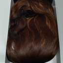 Bob Wavy Wigs for Women Reddish Caramel Brown Short Curly Hair Wig with Bangs Shoulder Length Style Synthetic Realistic Heat Resistant Wig for Everyday Hairstyle 16 Inch