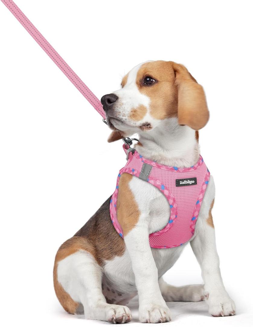 rabbitgoo Dog Harness Small Medium Sized and Leash Set, Step in Soft Light Puppy Vest, Breathable Mesh Pet Harness, Reflective for Safe Easy Walking, Pink & Plaid Trim L (L (Chest: 18.2 - 20.5"))