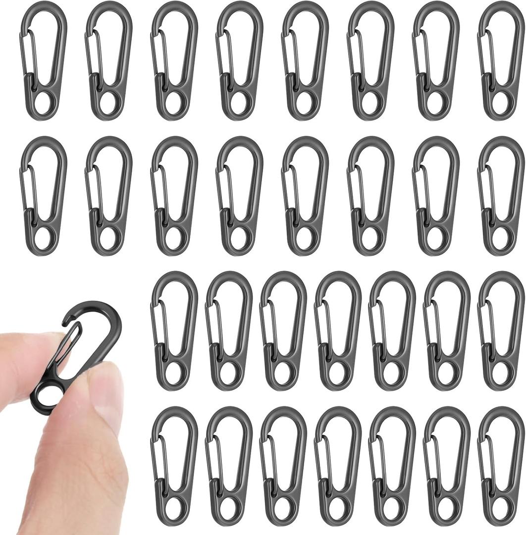 30 PCS Mini Carabiner Clip, Metal Spring Snap Hook Keychains Small Carabiner Clip for Keys, Micro Carabiners with a Transparent Storage Box Key Carabiners Clips Sport Accessories for Outdoor Camping