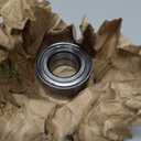 Motorcraft - Bearing (P) (BRG7)