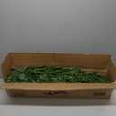 5FT Pre-lit Pencil Christmas Tree Spruce with Remote Control, 200 Warm White Multi-Color Lights, Artificial Hinged/Slim/Skinny/Feel Real/Realistic for Home, Holiday Decoration Dual Color LED 5 Feet (Green)