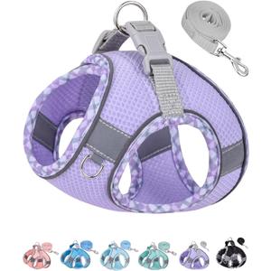 Petank Dog Harness for Small Medium Dogs No Pull, Puppy Harness and Leash Set, Step in Dog Harness for Walking, Running, Training (Purple, M)