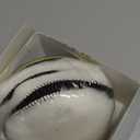 IPELY 6 Pcs 5 Inch Wool Polishing Buffing Pad Polishing Buffing Wheel for Drill Buffer Attachment with M14 Drill Adapter